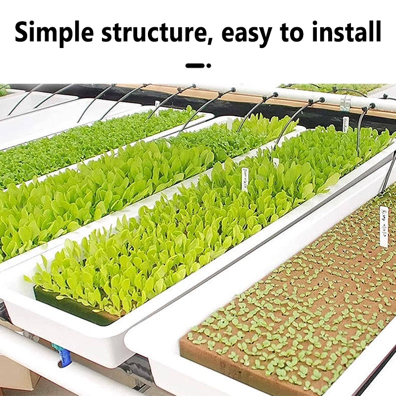 Nursery Plug Tray - Rock Wool Seedling Trays Breeding Box
