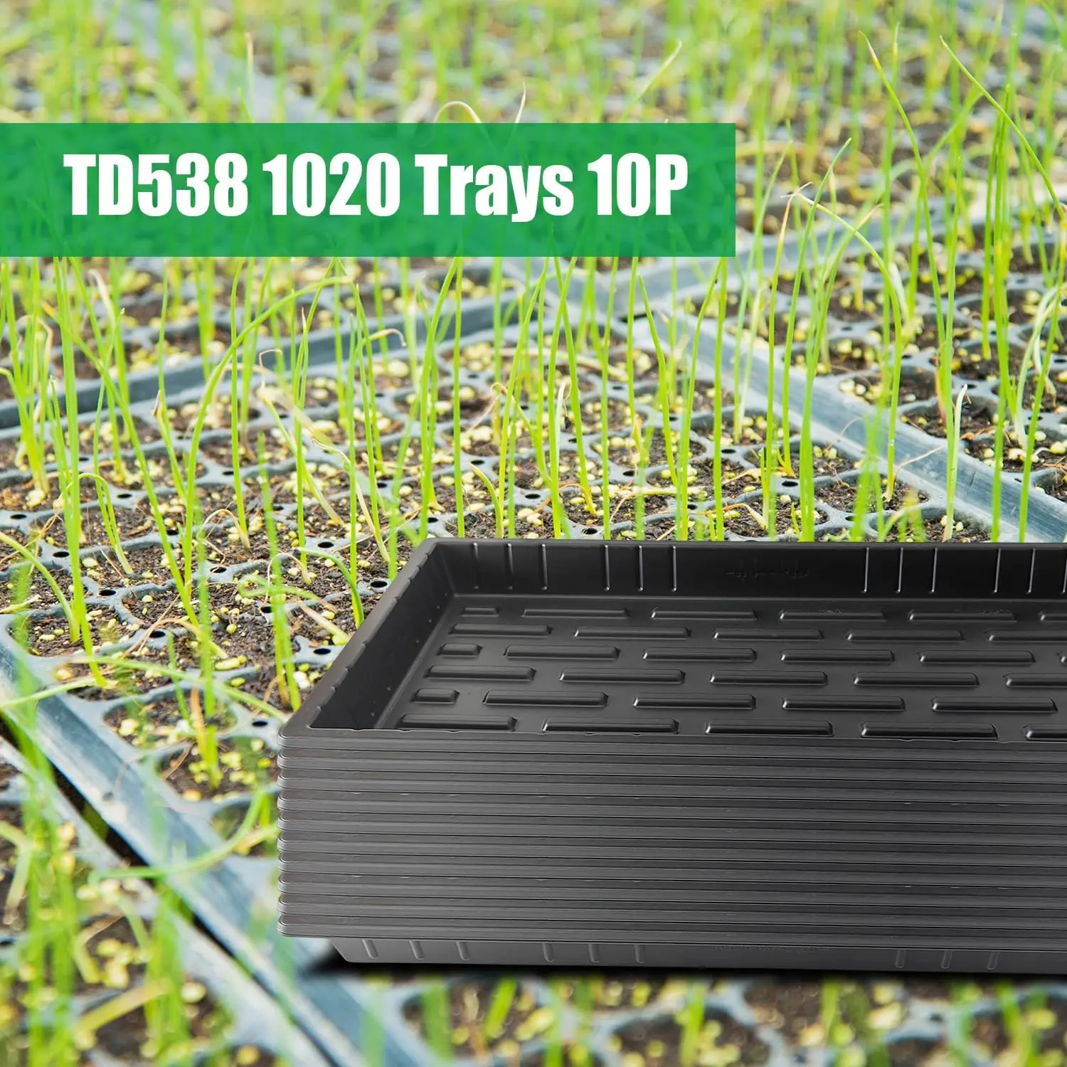 Ten Pack Seed Starter Trays An – Nursery Plug Tray recenzja i cena