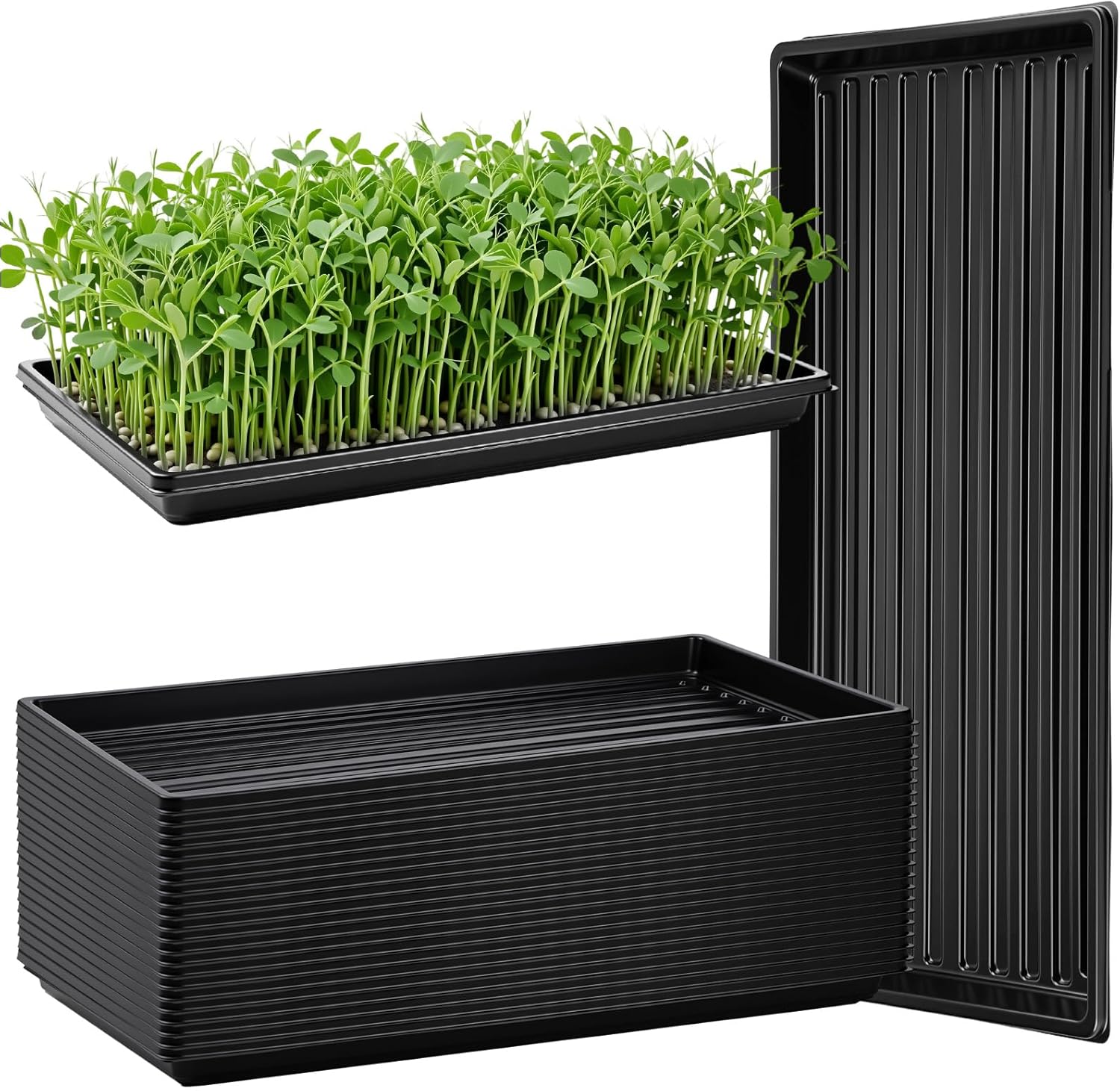 20 Pack 1020 Seed Starting Tra – Nursery Plug Tray recenzja i cena