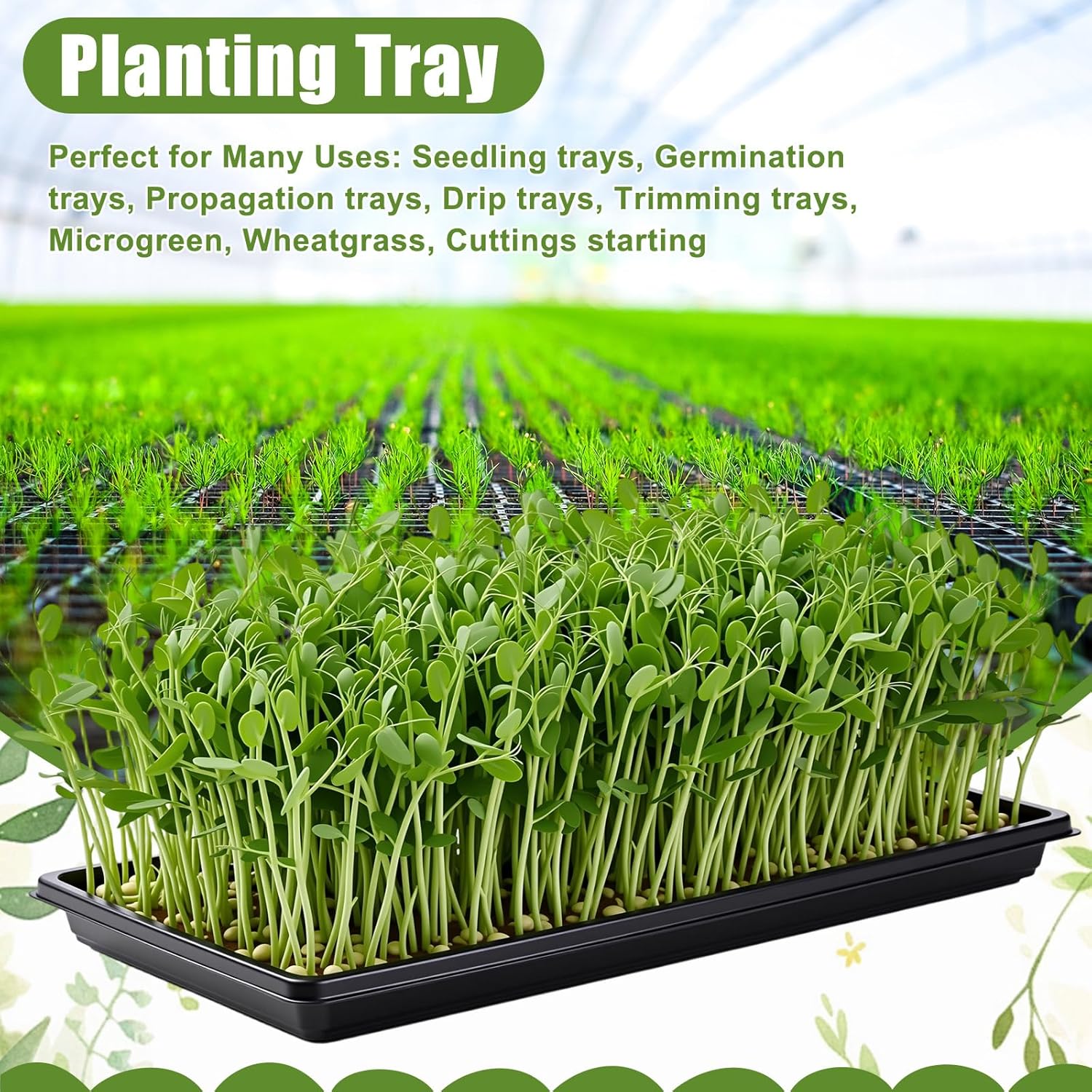 20 Pack 1020 Seed Starting Tra – Nursery Plug Tray recenzja i cena