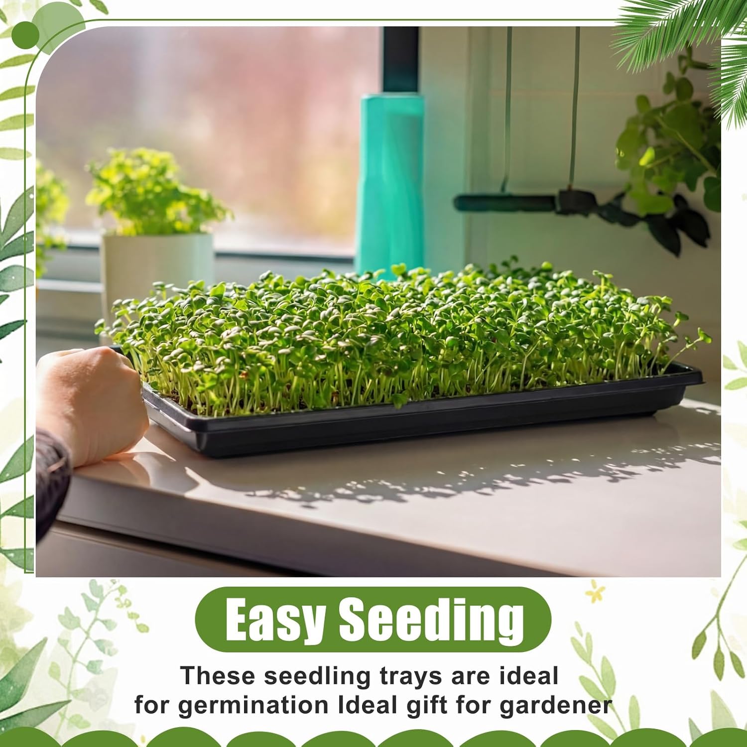 20 Pack 1020 Seed Starting Tra – Nursery Plug Tray recenzja i cena