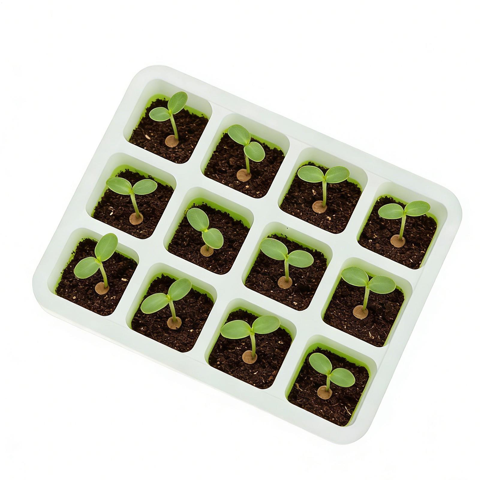 Silicone Plug Seedling Pot Kit – Nursery Plug Tray recenzja i cena