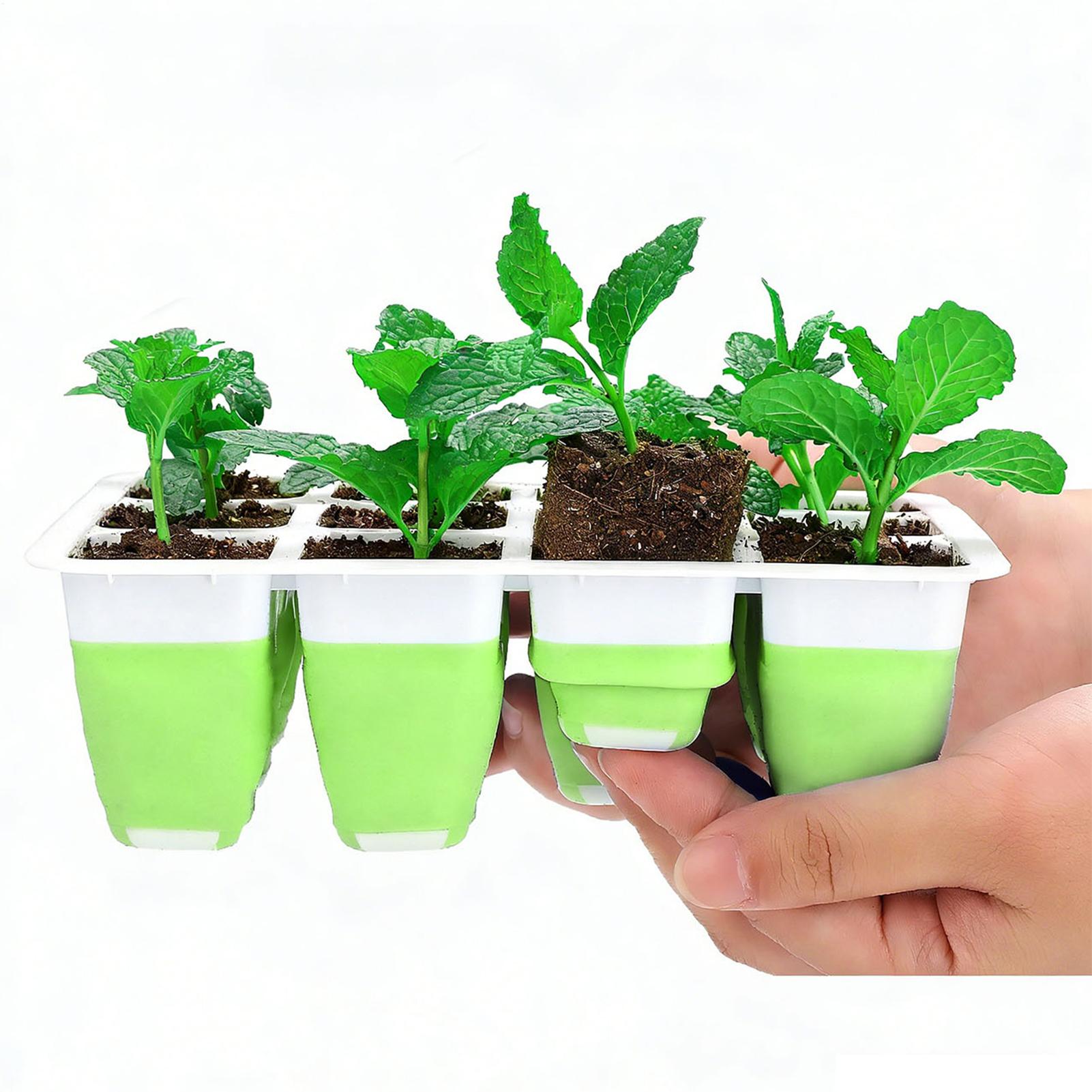 Silicone Plug Seedling Pot Kit – Nursery Plug Tray recenzja i cena