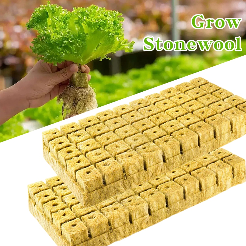Rock Wool Seedling Trays Breed – Nursery Plug Tray recenzja i cena