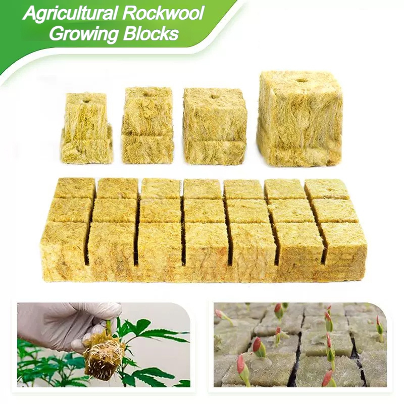Rock Wool Seedling Trays Breed – Nursery Plug Tray recenzja i cena