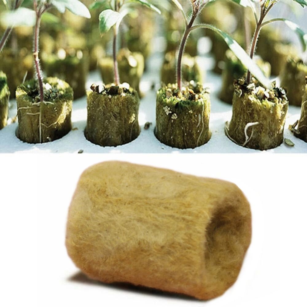 50PCS 27*20mm Size Hydroponic  – Nursery Plug Tray recenzja i cena