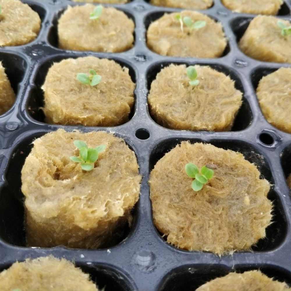 50PCS 27*20mm Size Hydroponic  – Nursery Plug Tray recenzja i cena