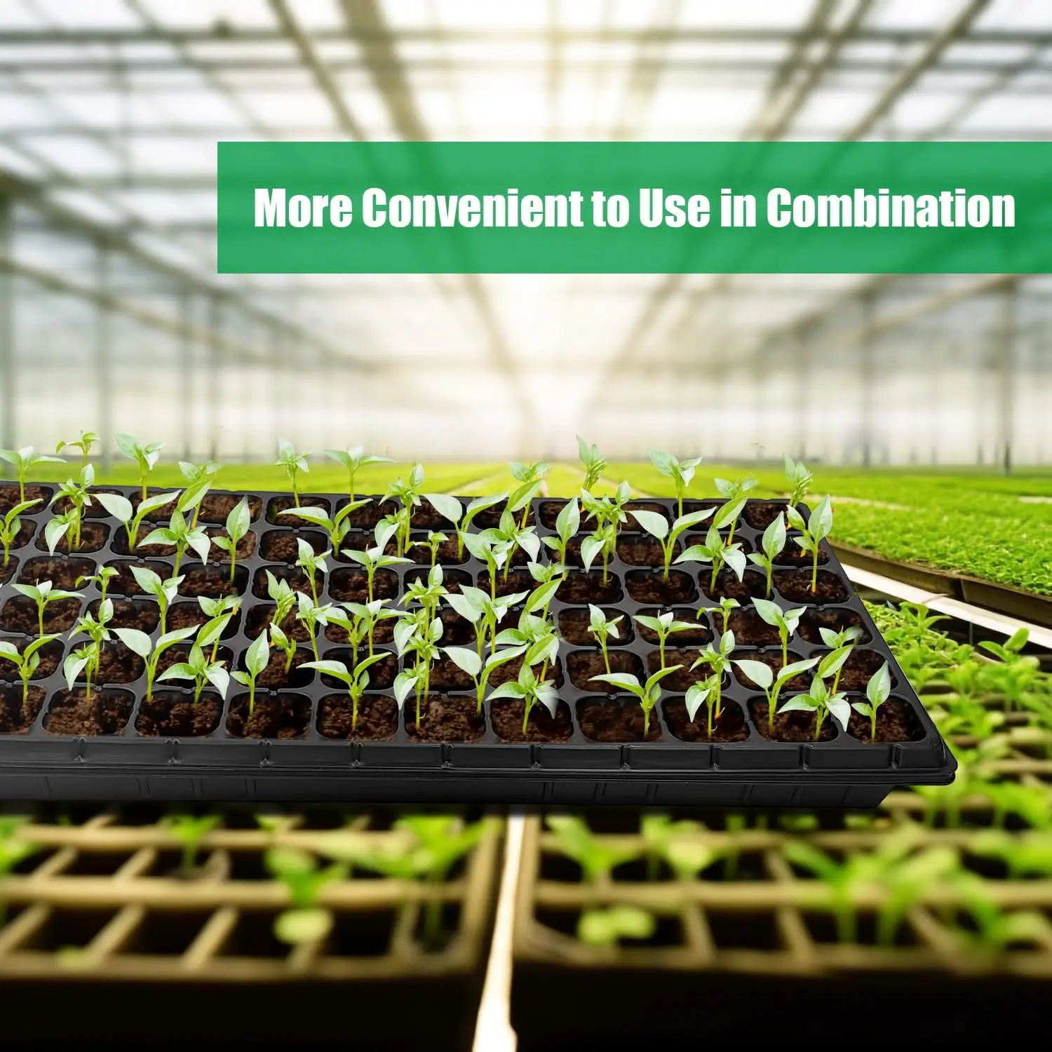 Ten Pack Seed Starter Trays An – Nursery Plug Tray recenzja i cena