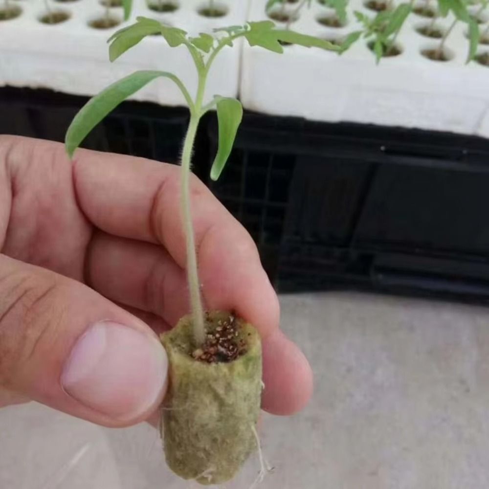 50PCS 27*20mm Size Hydroponic  – Nursery Plug Tray recenzja i cena