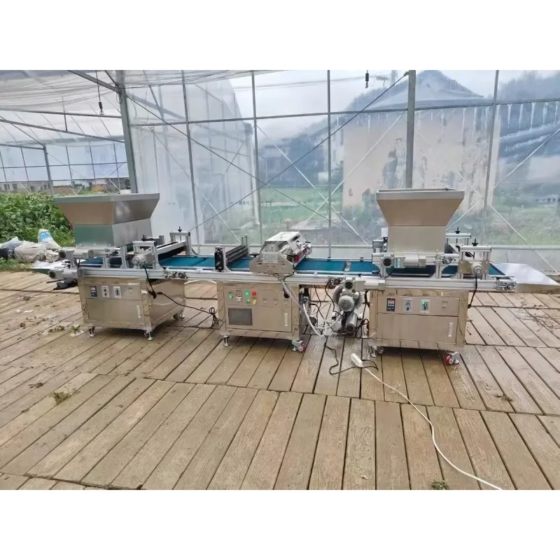 Automatic Sesame Corn Rice Tra – Nursery Plug Tray recenzja i cena