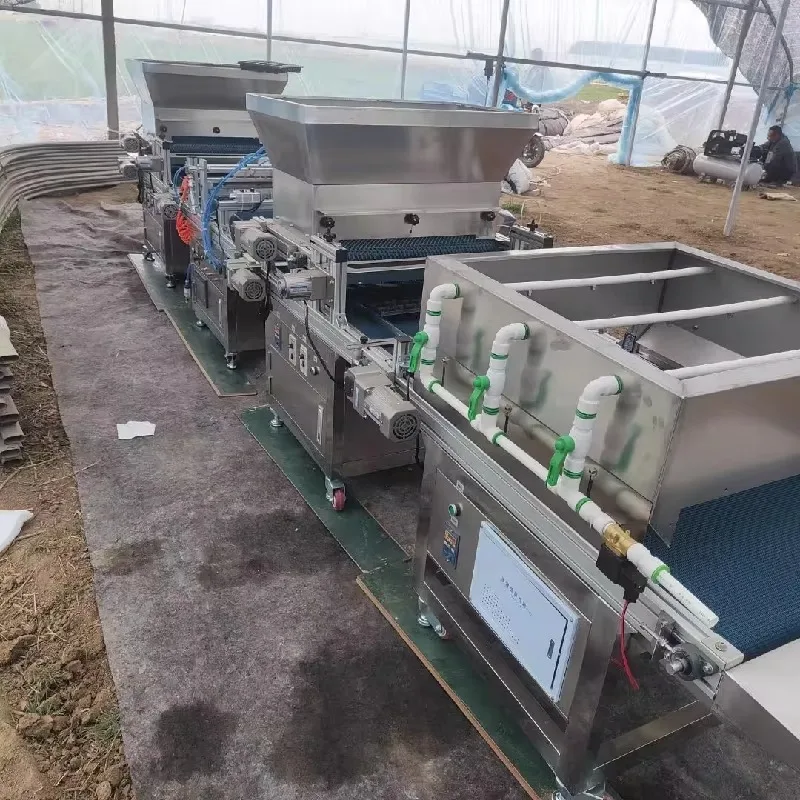 Automatic Sesame Corn Rice Tra – Nursery Plug Tray recenzja i cena