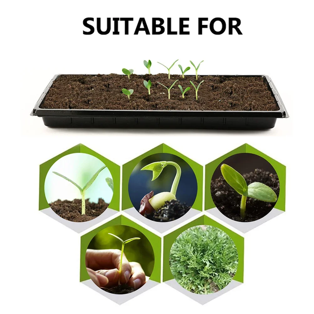 Lightweight Seed Starting Germ – Nursery Plug Tray recenzja i cena